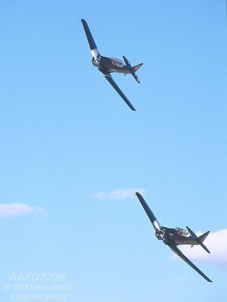 CLICK HERE OR BUTTON BELOW TO GO TO NEXT PAGE IN GALLERY