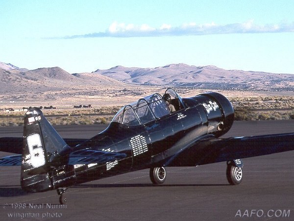 CLICK HERE OR BUTTON BELOW TO GO TO NEXT PAGE IN GALLERY