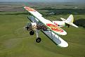Click image for larger version

Name:	Jelly Belly Stearman.jpg
Views:	493
Size:	32.7 KB
ID:	216192