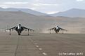 Click image for larger version

Name:	Harriers.jpg
Views:	354
Size:	14.2 KB
ID:	233992
