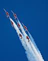 Click image for larger version

Name:	snowbirds1.jpg
Views:	273
Size:	165.5 KB
ID:	236388