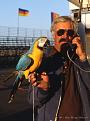 Click image for larger version

Name:	Don Bucky Dawson photo- Parrot Guy- 9-19-87 -001.jpg
Views:	550
Size:	89.0 KB
ID:	238769