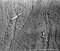 Click image for larger version

Name:	5- Kiska Volcano VP43 PBY crash site- 8-21-43- NARS 80CF80517-12 -Dawson coll -002.jpg
Views:	608
Size:	315.2 KB
ID:	240009